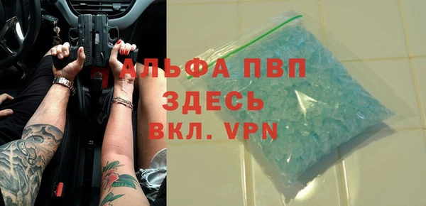 сатива Дмитриев