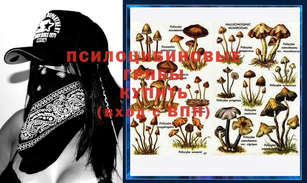 прущий лед Дмитровск