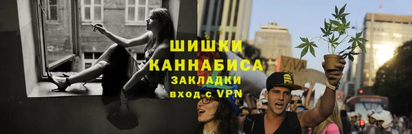 Альфа ПВП Дмитров
