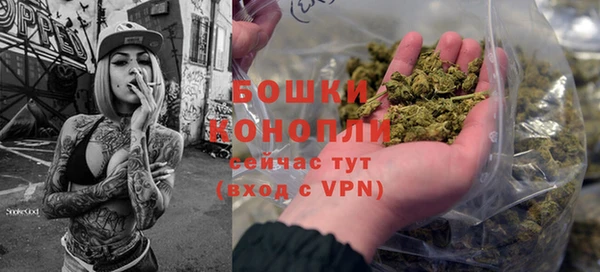 сатива Дмитриев