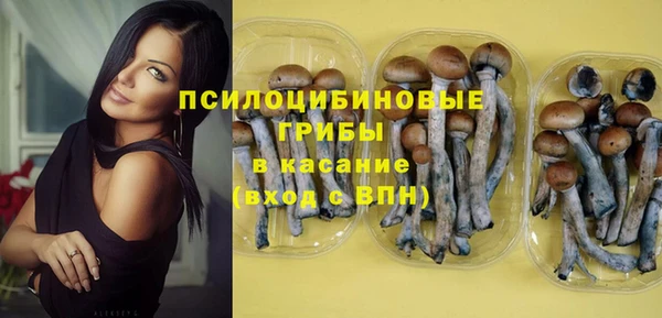 сатива Дмитриев