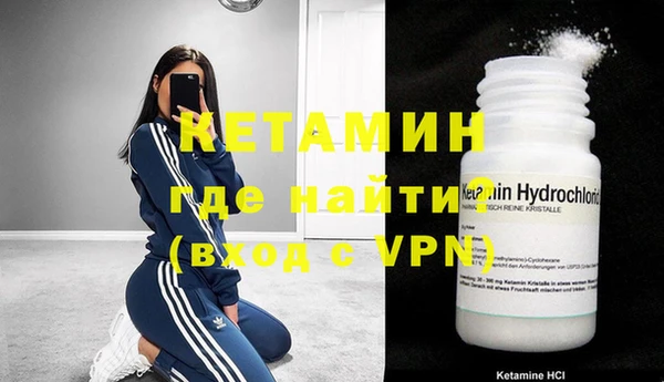 сатива Дмитриев