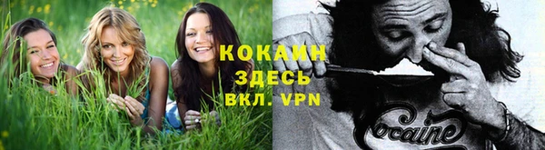 сатива Дмитриев