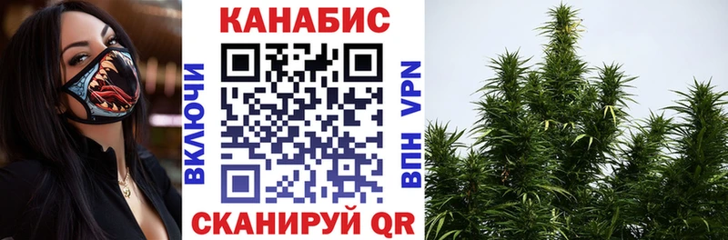 Бошки Шишки VHQ  Купить  Электрогорск 